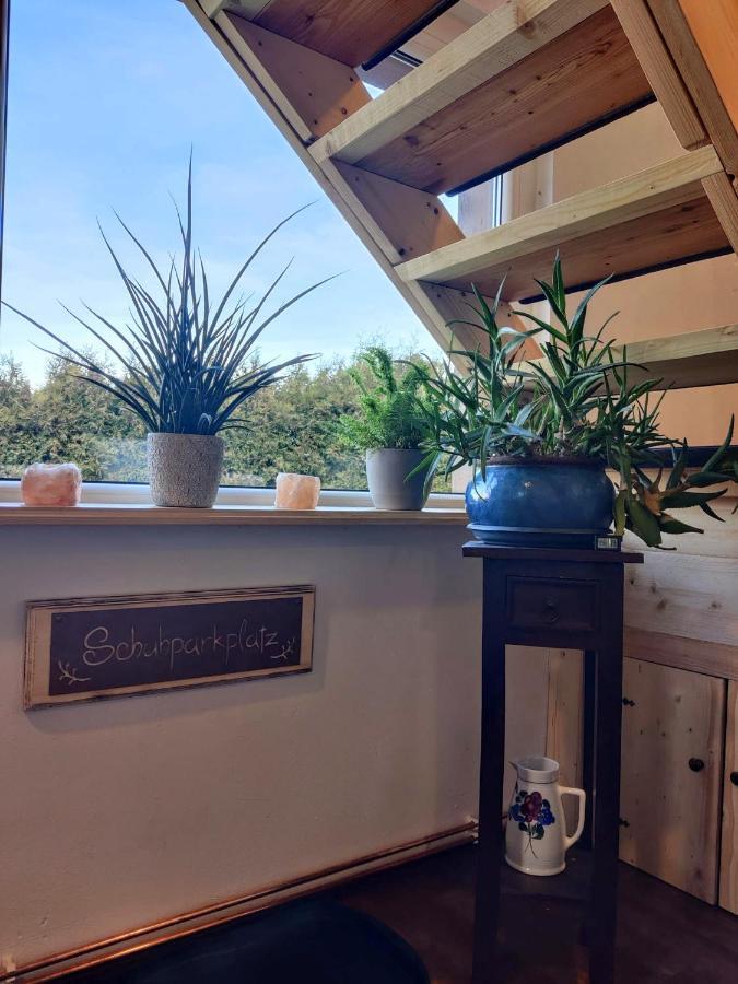Ferienwohnung Malu Sol Im Harz - Stilvoll, Gemuetlich, Tierfreundlich - Mit Garten Allrode Kültér fotó
