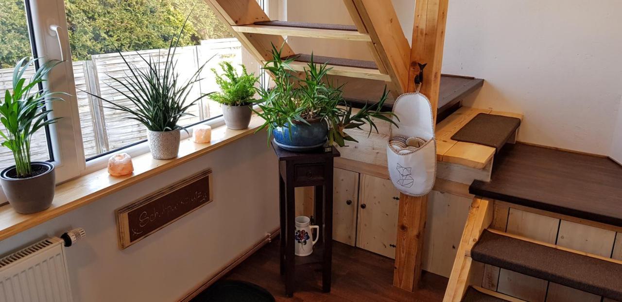 Ferienwohnung Malu Sol Im Harz - Stilvoll, Gemuetlich, Tierfreundlich - Mit Garten Allrode Kültér fotó