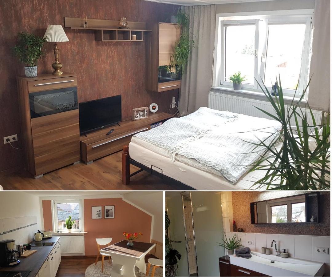 Ferienwohnung Malu Sol Im Harz - Stilvoll, Gemuetlich, Tierfreundlich - Mit Garten Allrode Kültér fotó