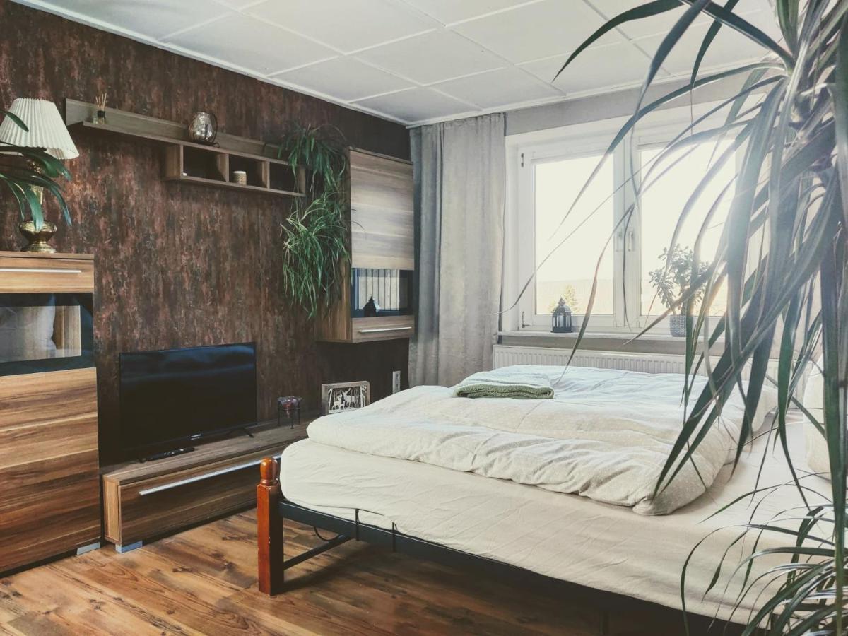 Ferienwohnung Malu Sol Im Harz - Stilvoll, Gemuetlich, Tierfreundlich - Mit Garten Allrode Kültér fotó