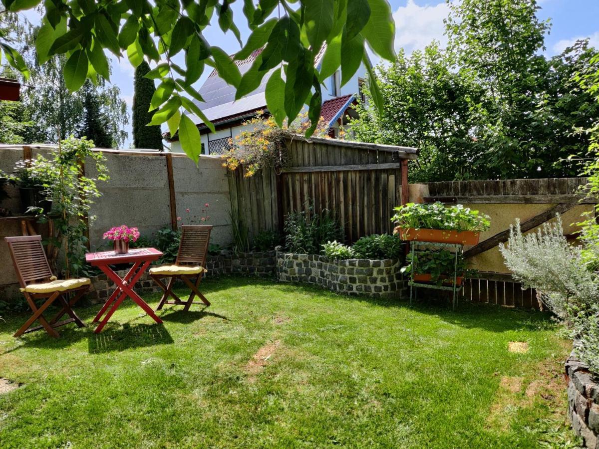 Ferienwohnung Malu Sol Im Harz - Stilvoll, Gemuetlich, Tierfreundlich - Mit Garten Allrode Kültér fotó
